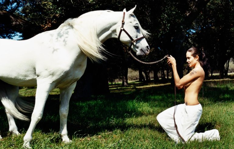 Angelina Jolie Rolling Stone topless photos (3)