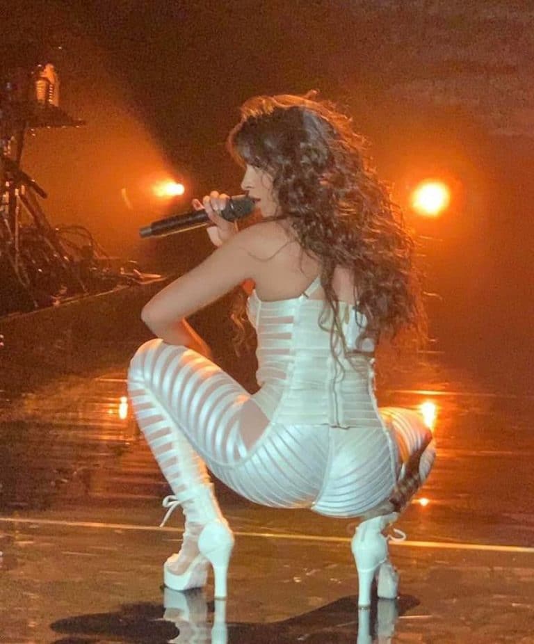 Camila Cabello stripper